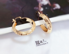 Gold polished earrings