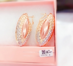 Irregular glossy  Earrings