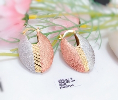 Matte brushed earrings