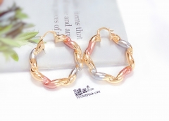 Arc exquisite new style earring