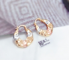 Glossy simple fashion earring