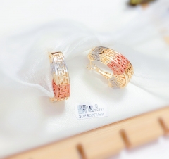 hollow oil painting dazzling earrings