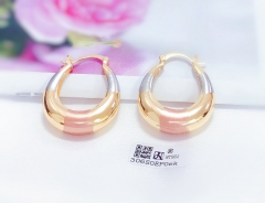 Glossy classic earring