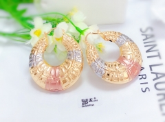 Oil painting  glossy earring