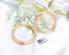 Arc exquisite new style earring