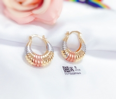 irregular glossy earrings