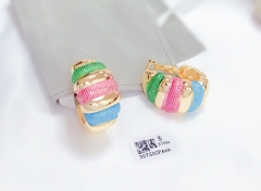 Colorful  oil painting earrings