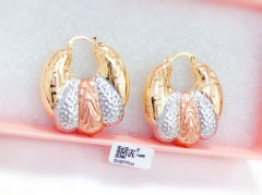 irregular colorful earring