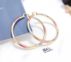 Lager arc colorful earring