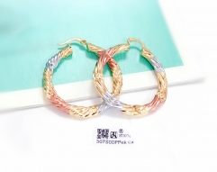 Twist curl high-end earrings