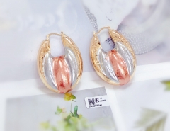 irregular glossy earring