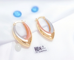 Irregular polishing earring