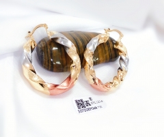 Arc exquisite new style earring