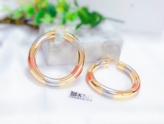 Daliy wear colorful earrings