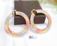 Arc exquisite new style earring