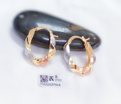 daily wear exquisite earring