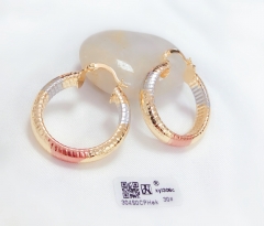 Arc simple earring