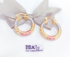 Arc exquisite new style earring