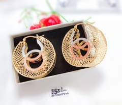 Dazzling eye-canching earrings