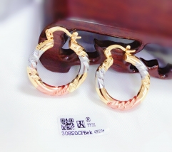 Exquisite eye-canching earrings