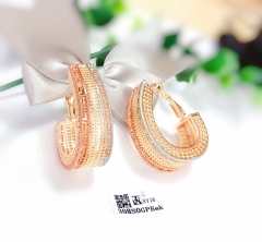 Hollow irregular earrings