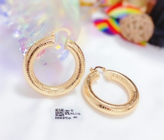 Gold polished earrings