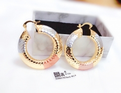 Exquisite glossy   earrings