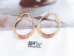 Arc exquisite new style earring