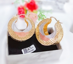 Exquisite hollow earrings