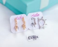 Irregular hot shape earrings