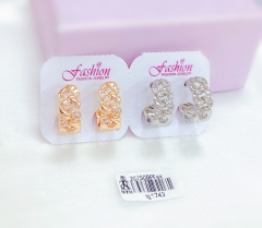 Exquisite zircon earrings