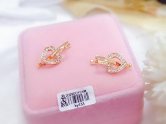 Heart Shape Exquisite Earrings