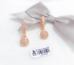 Round style full zircon earrings