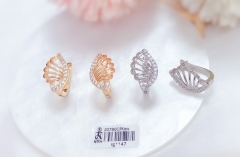 Fine exquisite style earrings