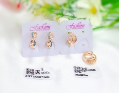 Exquisite hollow style earrings