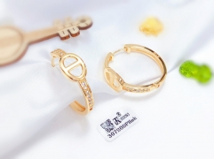 High end style gold earrings