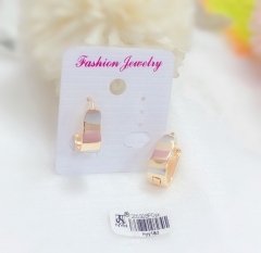 Oil painting  trend earring