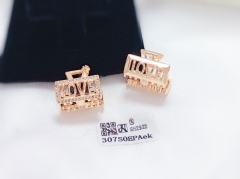 Love letter exquisite earrings