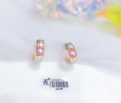 Oil painting color matching earrings