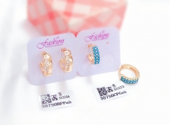 exquisite style earrings