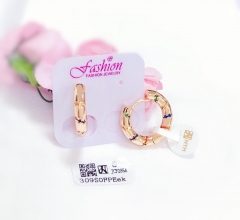 Coolorful zircon glossy earring