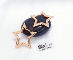 Glossy star earrings