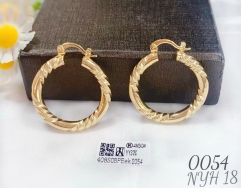 Round arc earrings