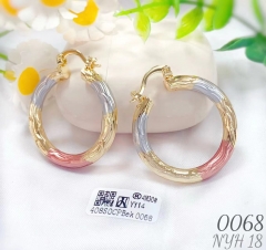 Oil painting style glossy bright earring