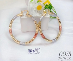 Oil painting round arc earring