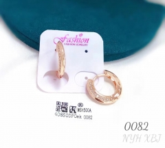 Fashion shiny earring