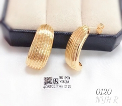 Glossy style gold/silver color earring