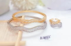 Curved Style Delicate Bangle Ring