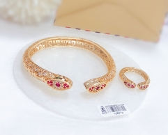 Exquisite red gem bangle ring