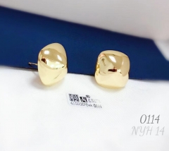 Square style golssy earring